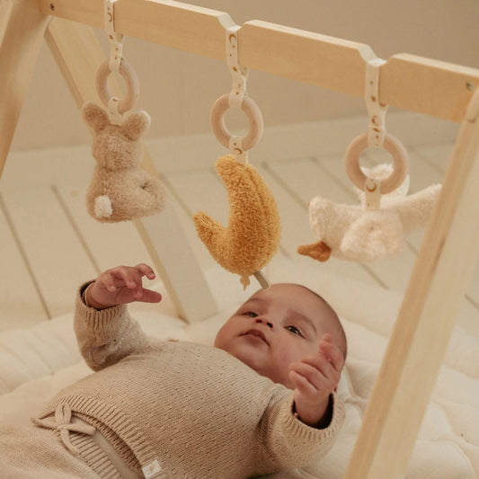 Играчки за подлога • Newborn Naturals