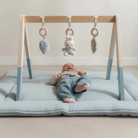 Играчки за подлога • Среќни листови