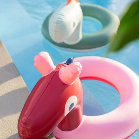 Гума за пливање • Коњче