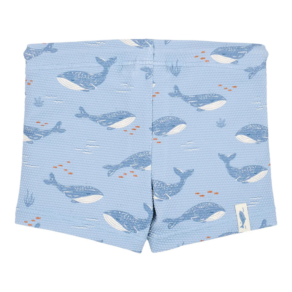 Костим за капење • Долен дел • Океански бранови
